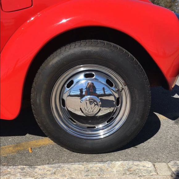 Meet your Posher, Haleigh - Picture 1 of 1